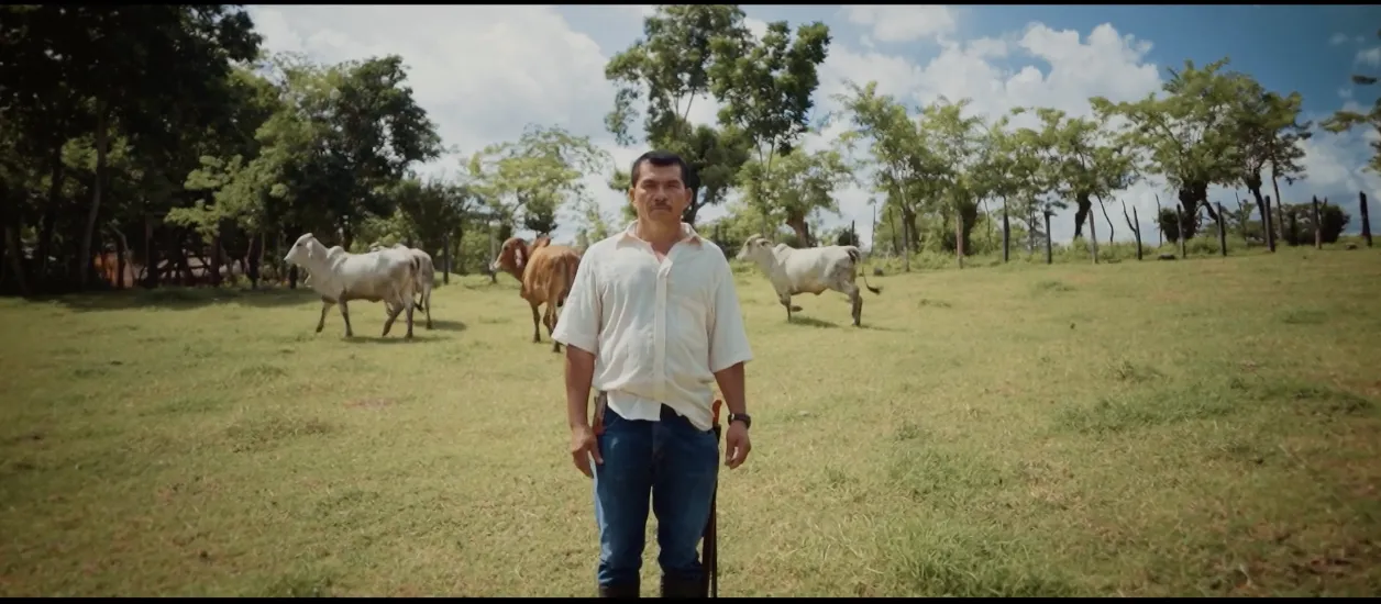 Still de documental